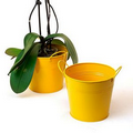 6 1/2" Goldenrod Painted Pail w/ Dual Side Handles